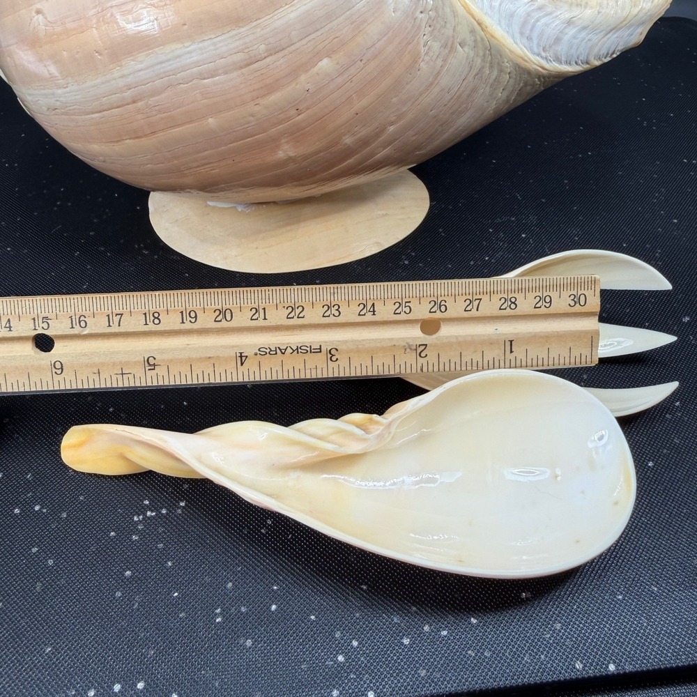 Vintage Hand Carved Conch Shell Bowl Set 9 Dishes Servers Coastal w Utensils - Picture 5 of 16